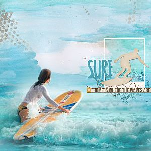 the surfer