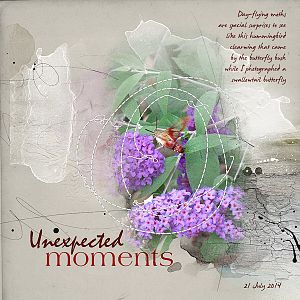 Unexpected Moments