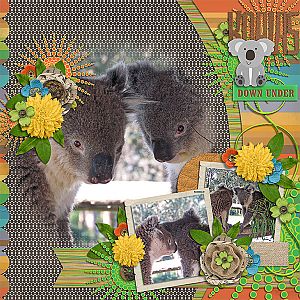 Koalas Downunder