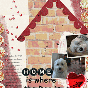 Home is where the dog is