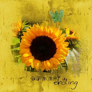 summer's ending
