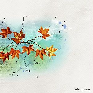 Autumn Colors...