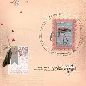 Dido designer spotlight - flamingo