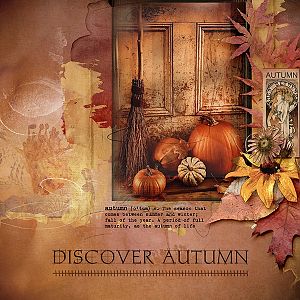 Discover Autumn