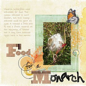 Food for a Monarch