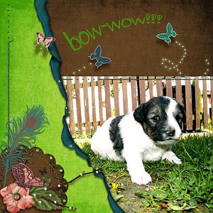 bow-wow!!!