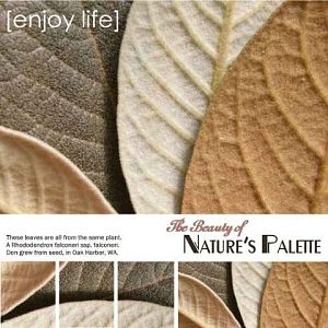 Enjoy Life Contest Nature's Palette