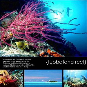 Tubbataha Reef, Puerto Princesa, Philippines