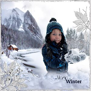 The Magic of Winter