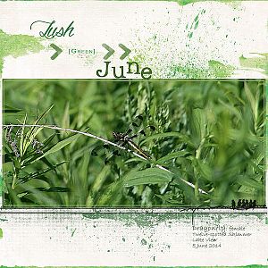 Lush Green June