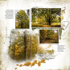 Autumn Template Album No. 1A