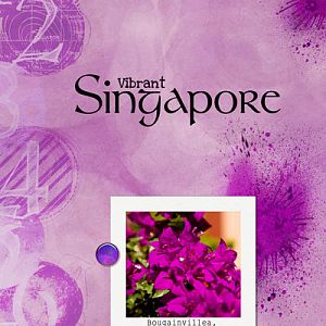 Vibrant Singapore Purple