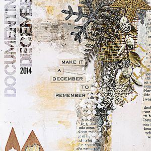 Cover, Documenting December 2014