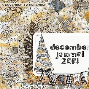 December Journal 2014 Cover