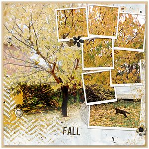 Fall