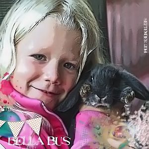 Bella Bus