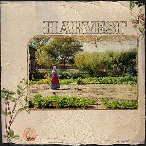 Harvest6