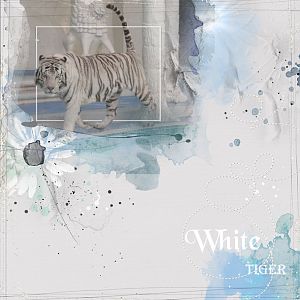 Anna Color Challenge - White Tiger