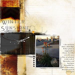 2015 Winter Sunshine