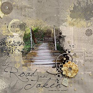 Road not Taken