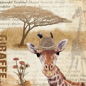 Giraffe Fun