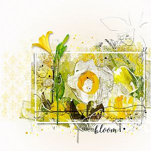 Flowers bloom (Anna Lift)