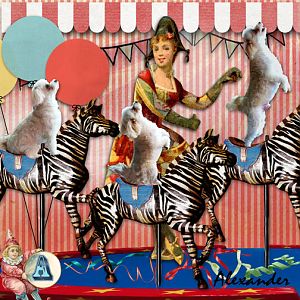 Birthday at the Circus - Challenge 7