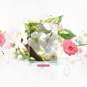 AnnaLift 3.28.15 - 4.3.15 - Cherry blossom