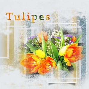 tulipes