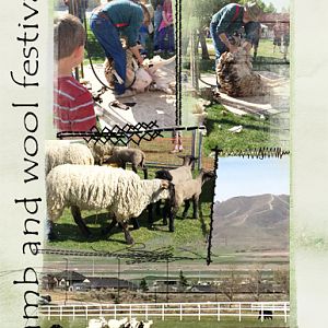Lamb & Wool Festival