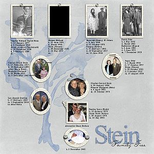 Stein Family