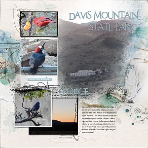 2015Apr28 Davis Mt LS