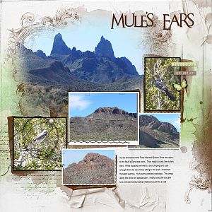 2015May2 mule's ears