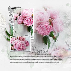 Peonies