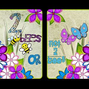 Challenge4_06-15_ATC pair_2 bees or not 2 bees