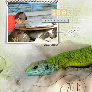 Annalift - Lizard