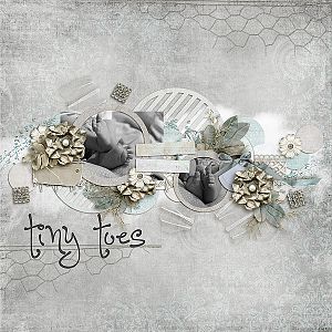 tinytoes-copy