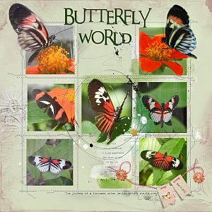 2015Apr11 butterfly world