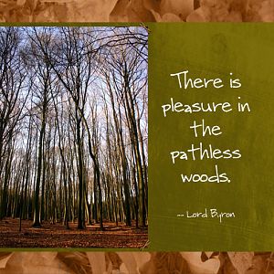 Pleasure in the Woods