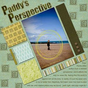 Paddy's Perspective