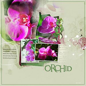 2015Apr11 orchid AnnaARTsy Challenge