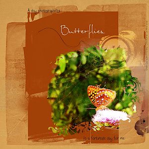 AnnaColor - Butterflies