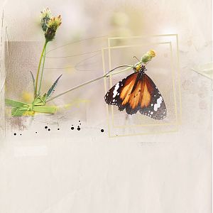 AnnaLIFT 8.29.15 - 9.4.15 - butterfly