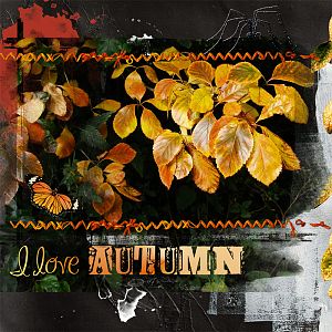 Challenge 5 - I love autumn