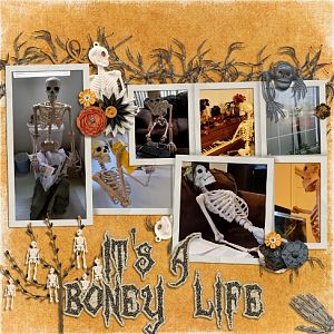 It's A Boney Life