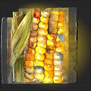 Indian Corn - Anna Color Challenge 10/9-10/22