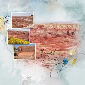 painted-desert