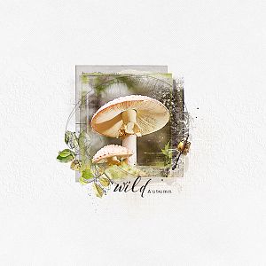 AnnaLIFT 10.31.15 - 11.6.15 - mushrooms