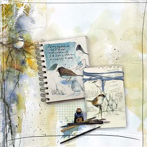 The Notebook/ Anna Lift