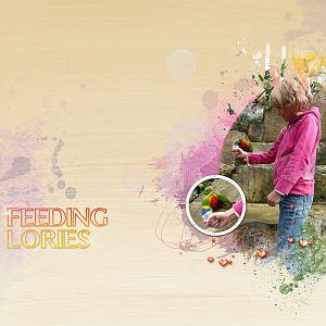 Feeding Lories